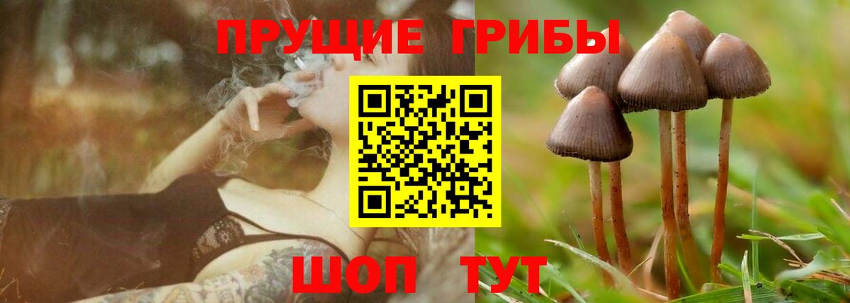 Тула  Галлюциногенные грибы мицелий  Вход с VPN 